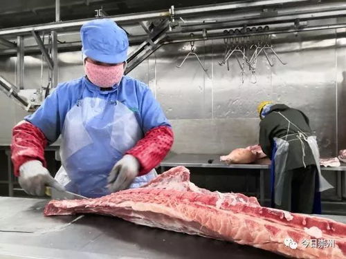 日供生猪1000余头 崇州这家企业为猪肉产品稳产保供出力